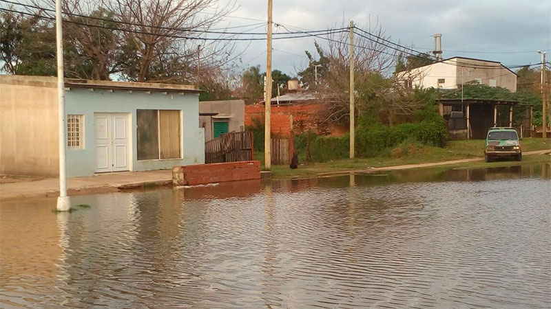 Imagen adicional