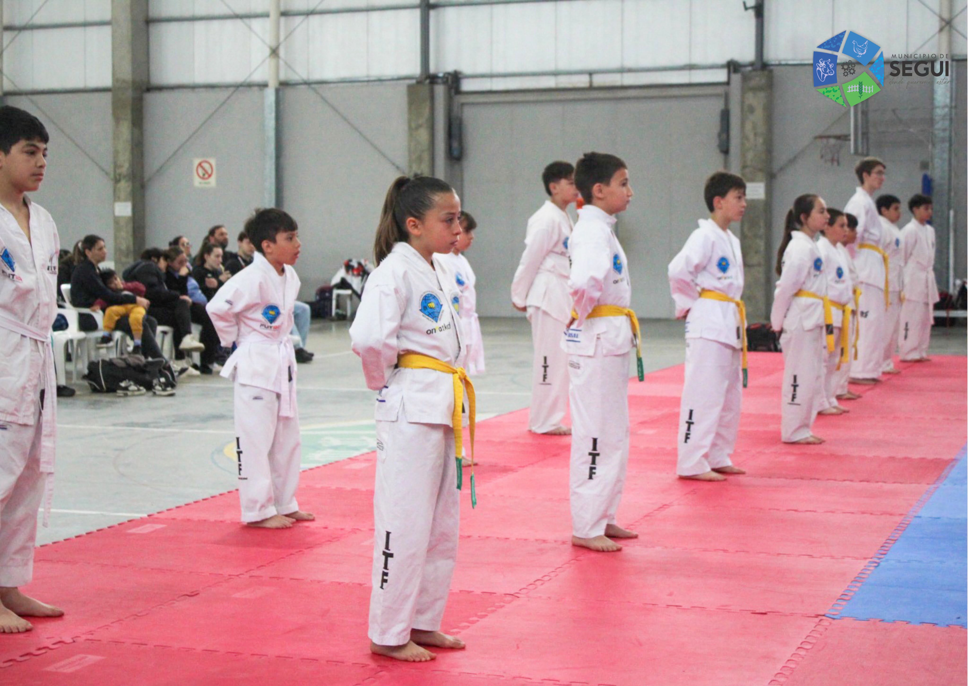 Imagen adicional