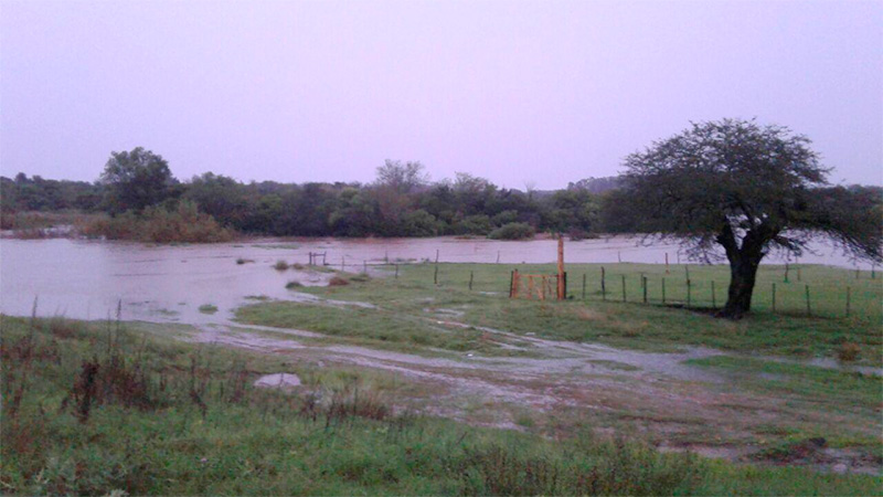 Imagen adicional