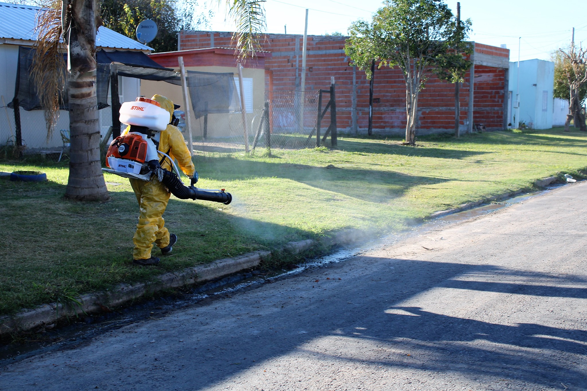 Imagen adicional