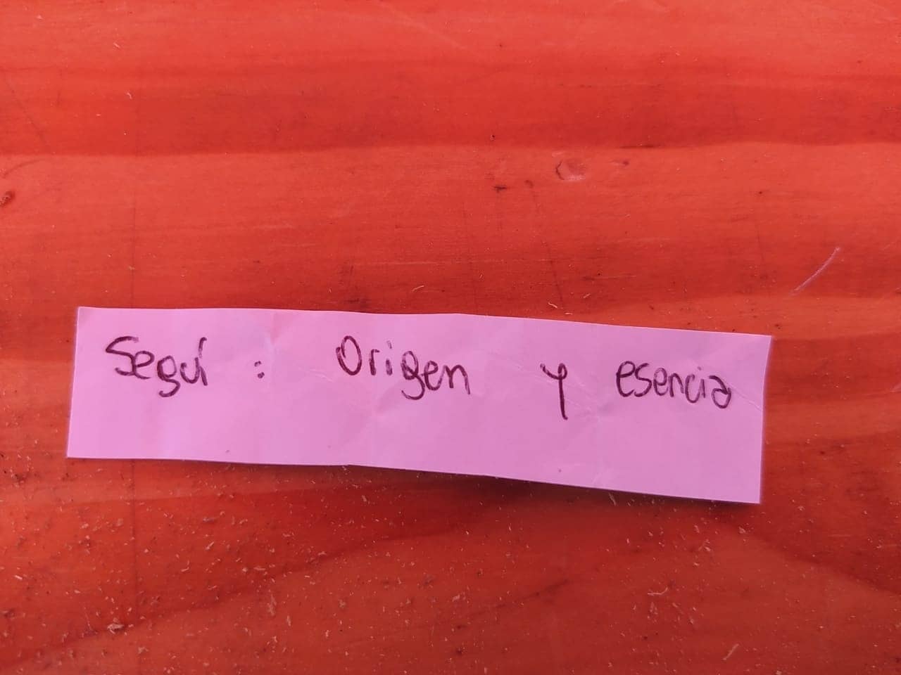 Imagen adicional